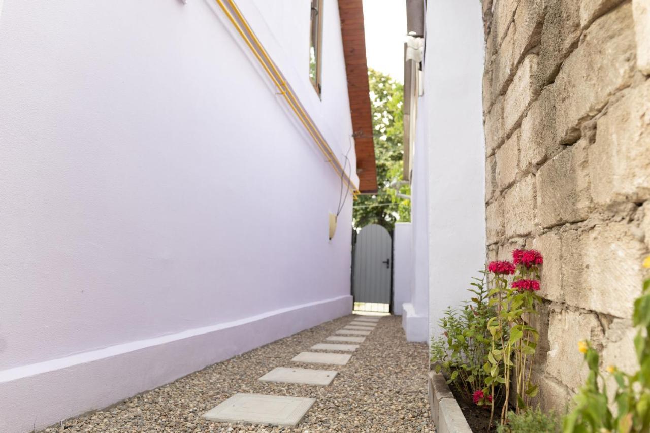 Nomad Sud Studios In Town Center Cahul Dış mekan fotoğraf